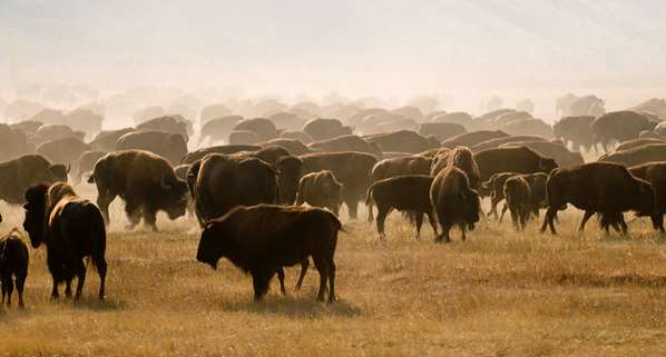  - Teton Private Residences Teton Village