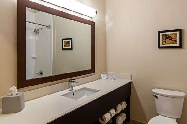Suite - Comfort Suites Stemmons Dallas - I-35, Exit 436A