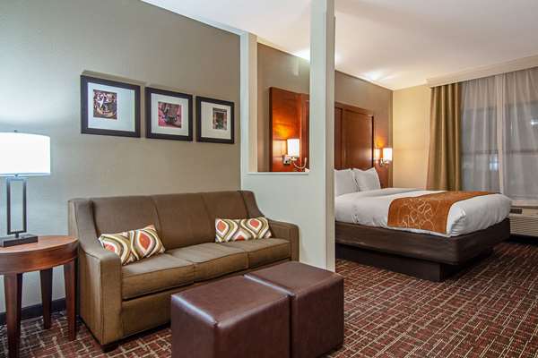 Suite - Comfort Suites Stemmons Dallas - I-35, Exit 436A
