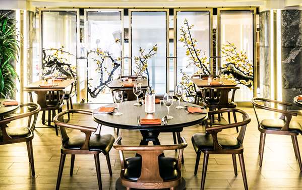 Restaurant - Hotel Fusion San Francisco