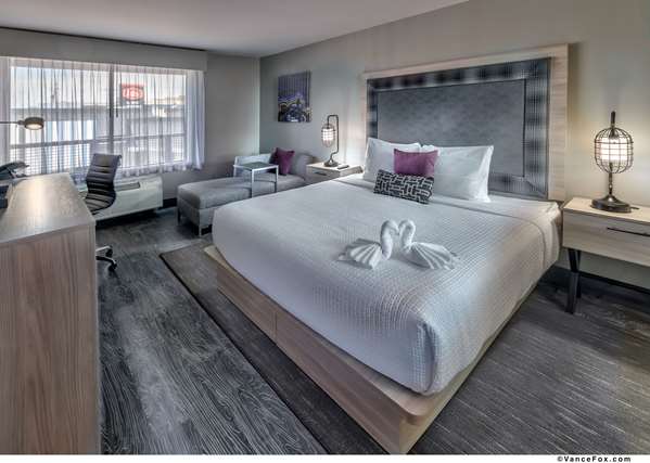 Suite-1 King Bed, Non-Smoking, Sofabed, Kitchenette, Living Room, Wi-Fi, Shower Only