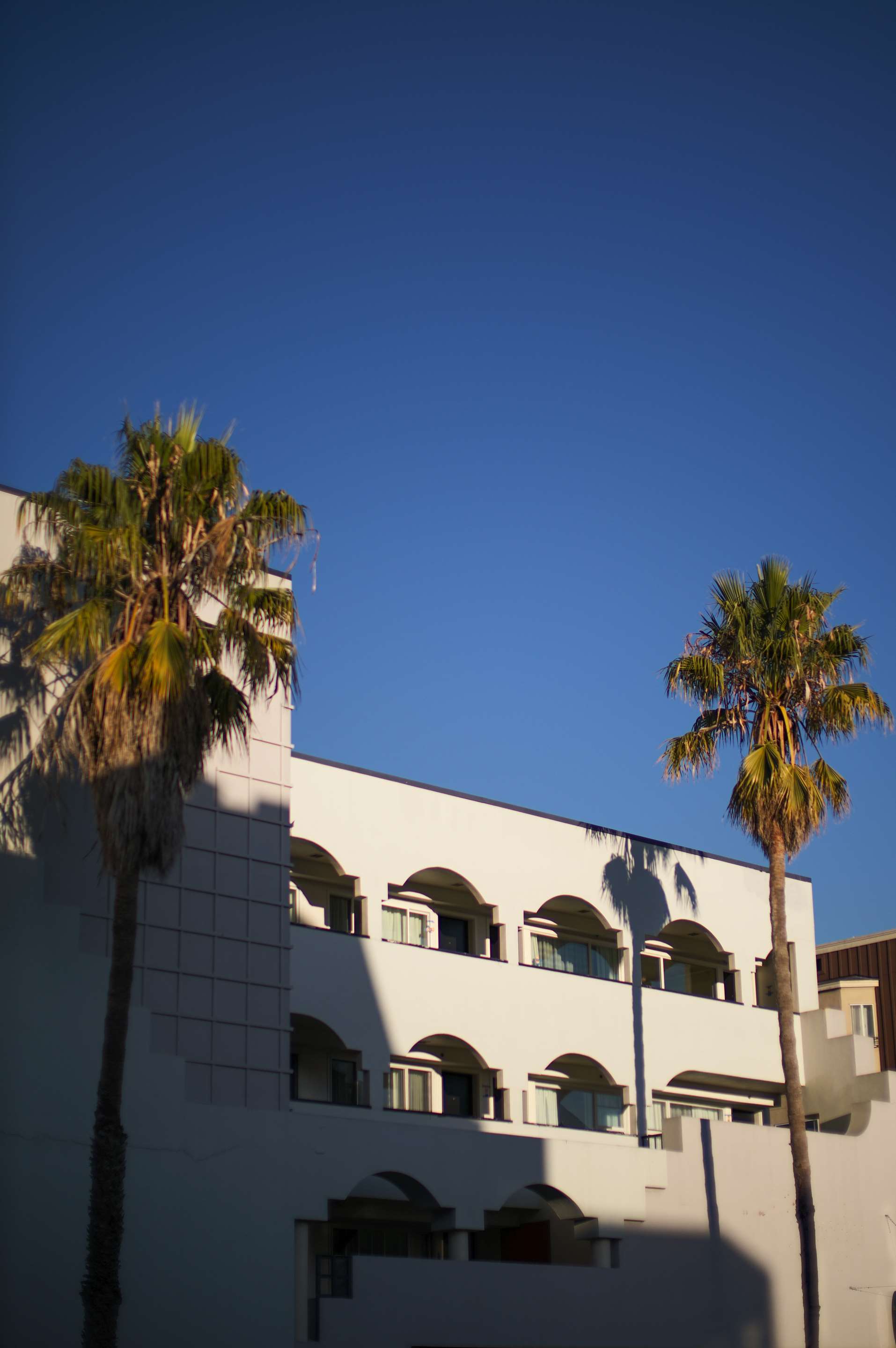 Soma House | Soma House