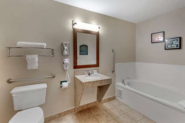  - Comfort Inn & Suites Canton - I-575, Exit 20
