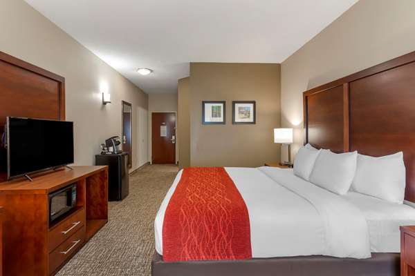  - Comfort Inn & Suites Canton - I-575, Exit 20