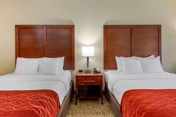  - Comfort Inn & Suites Canton - I-575, Exit 20