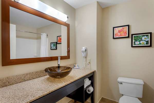  - Comfort Inn & Suites Canton - I-575, Exit 20