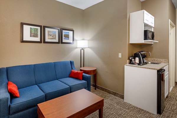 Suite - Comfort Inn & Suites Canton - I-575, Exit 20