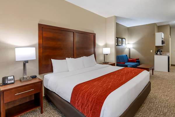Suite - Comfort Inn & Suites Canton - I-575, Exit 20
