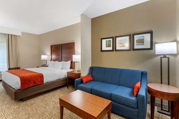 Suite - Comfort Inn & Suites Canton - I-575, Exit 20