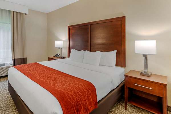 Suite - Comfort Inn & Suites Canton - I-575, Exit 20