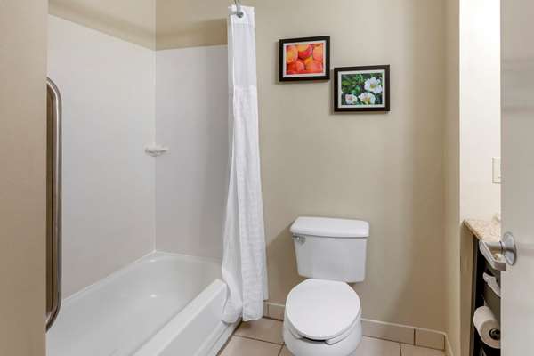 Suite - Comfort Inn & Suites Canton - I-575, Exit 20