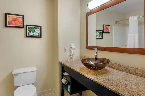 Suite - Comfort Inn & Suites Canton - I-575, Exit 20