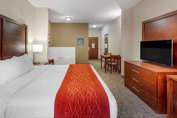 - Comfort Inn & Suites Canton - I-575, Exit 20