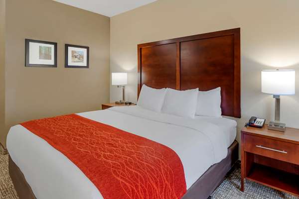  - Comfort Inn & Suites Canton - I-575, Exit 20