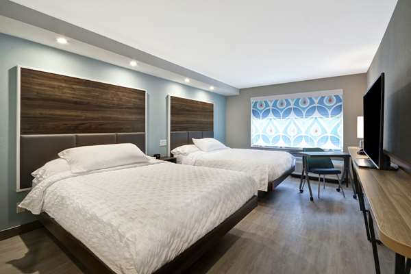  - Tru by Hilton Hotel Chicopee