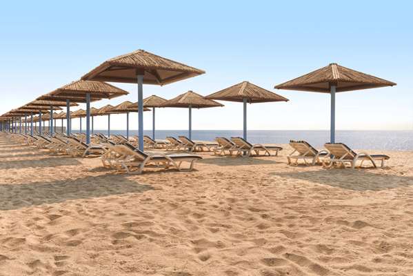 On-Site,Beach