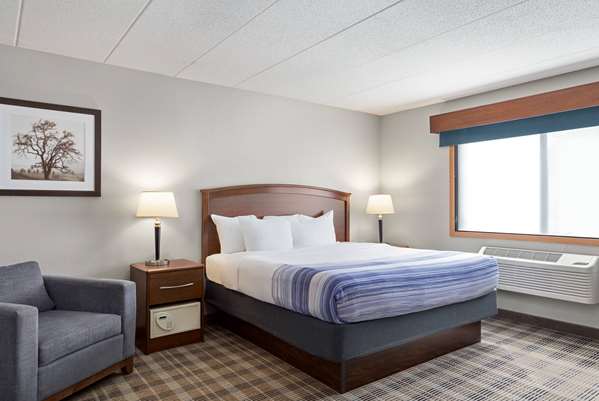 Suite - AmericInn Lodge & Suites Bemidji
