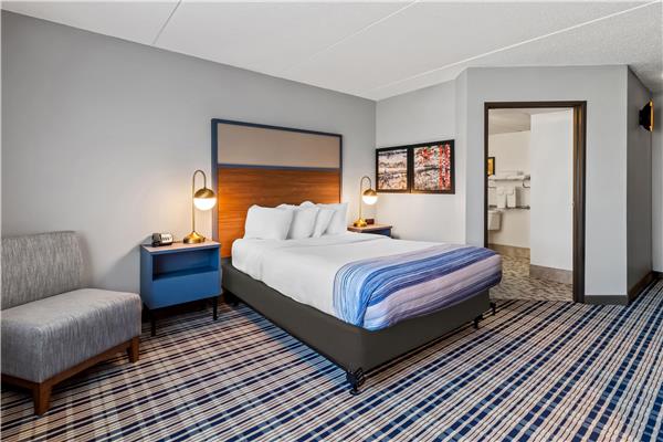 1 Queen Bed, Mobility Accessible Room, Non-Smoking