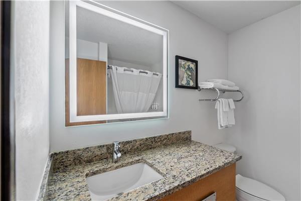 1 King Bed, One Bedroom Suite, Non-Smoking