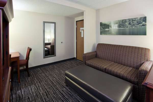 1 King Bed, Premier Suite, Non-Smoking