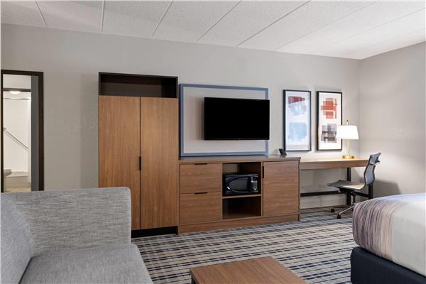 1 King Bed, Superior Suite, Non-Smoking