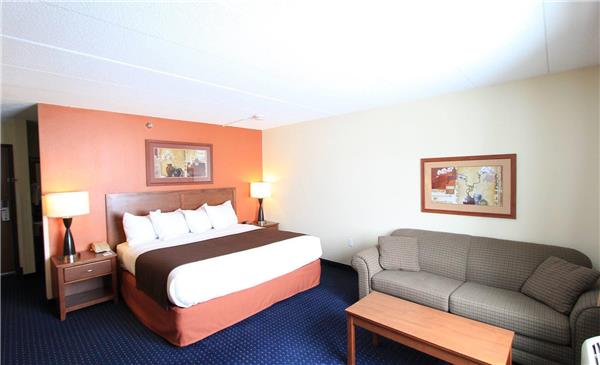 1 King Bed, Premier Suite, Non-Smoking