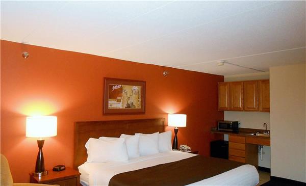 1 King Bed, Studio Suite, Non-Smoking