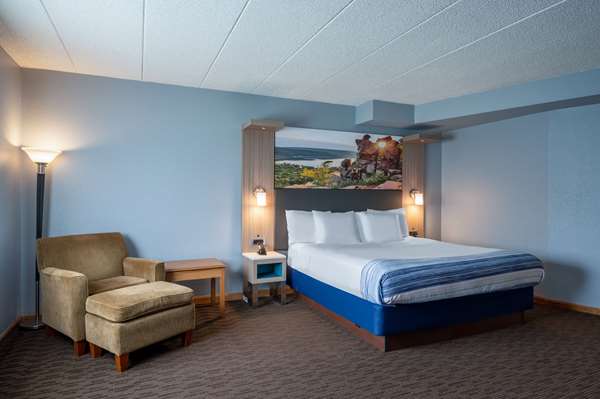 1 King Bed, One-Bedroom, Superior Suite, Non-Smoking