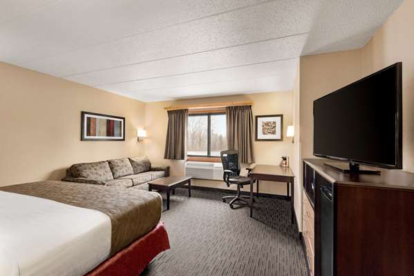 1 King Bed, Non-Smoking
