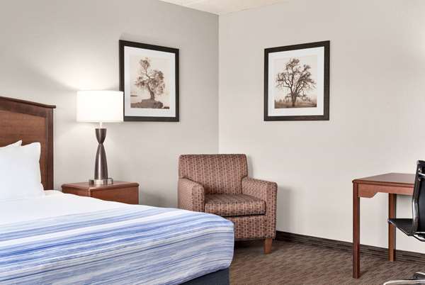 1 King Bed, Non-Smoking