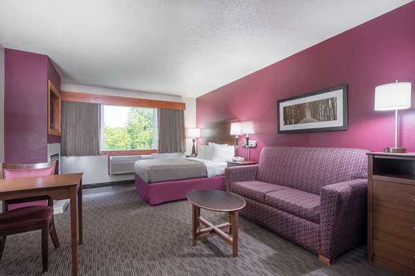 1 King, 1-Bedroom Premium Suite, Non-Smoking