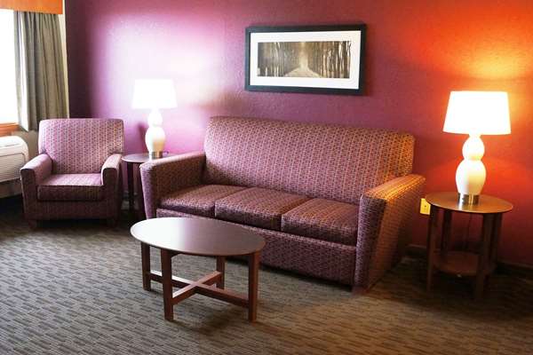1 King Bed,1-Bedroom, Deluxe Suite, Non-Smoking