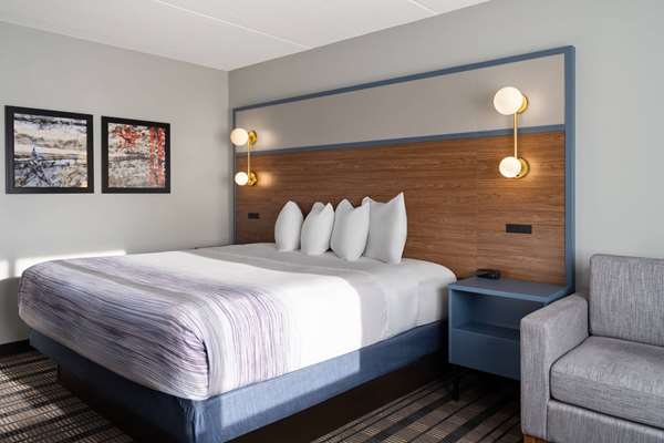 1 King Bed, Non-Smoking
