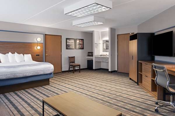 1 King Bed, Deluxe Room, Non-Smoking