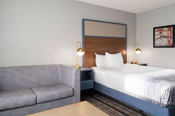 1 Queen Bed, Mobility Accessible Room, Non-Smoking