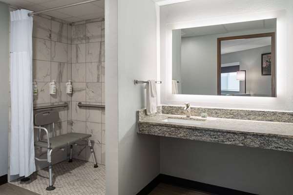 1 King Bed, Mobility Accessible Room, Non-Smoking