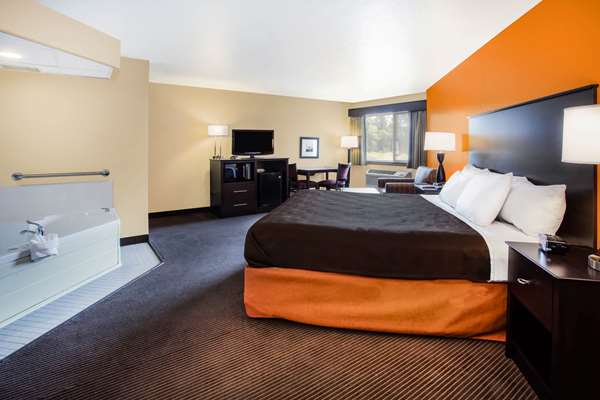 1 King Bed, Suite, Non-Smoking