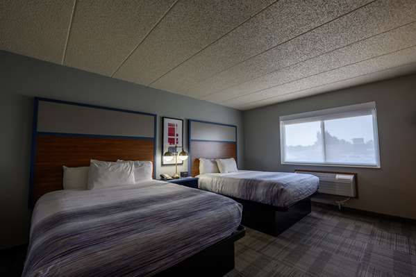 2 Queen Beds, Studio Suite, Non-Smoking