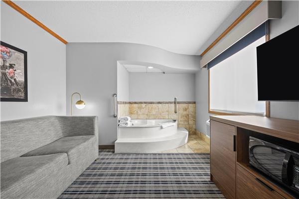 1 King Bed, One-Bedroom Superior Suite, Non-Smoking
