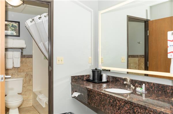 1 King Bed, One-Bedroom Superior Suite, Non-Smoking