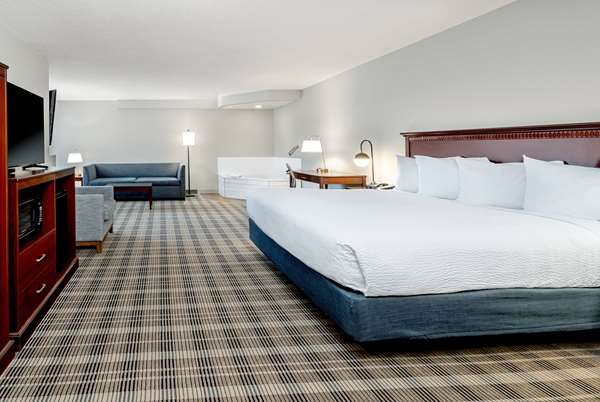 1 King Bed, Premier Suite, Non-Smoking