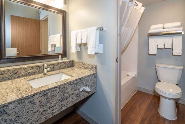 2 Queen Beds, Pet Friendly Room, Non-Smoking