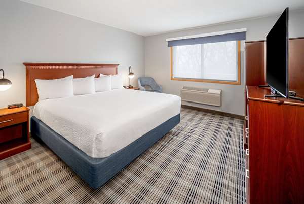 1 King Bed, Luxury Suite, Non-Smoking