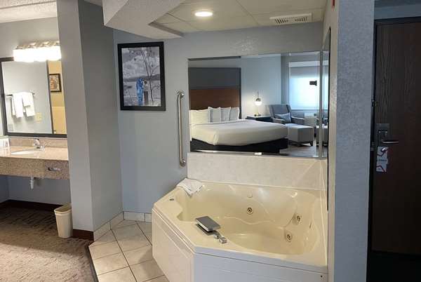 1 King Bed, Premier Suite, Non-Smoking