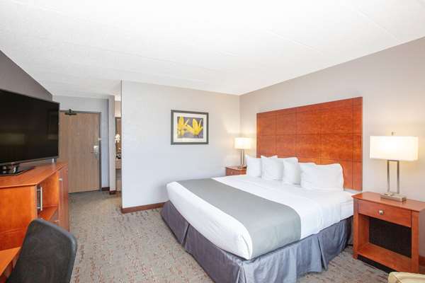1 King Bed, Mobility Accessible Room, Non-Smoking