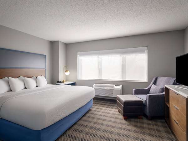 1 King Bed, 1 Bedroom Luxury Suite, Non-Smoking
