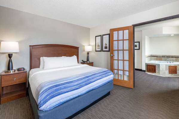 1 King Bed, One-Bedroom, Deluxe Suite, Non-Smoking