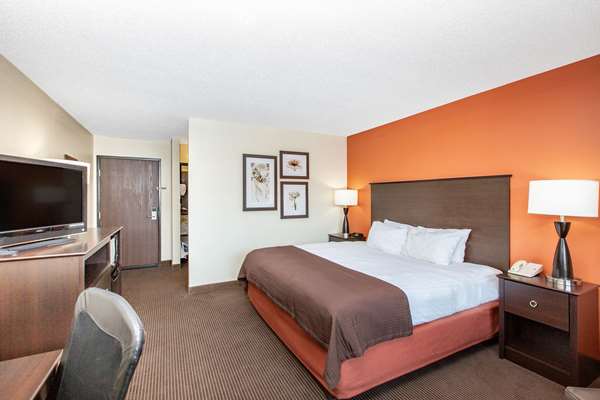 1 King Bed, Deluxe Mobility Accessible Room, Pet-Friendly, Non-Smoking
