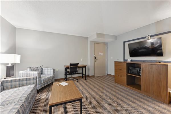 1 King Bed, One-Bedroom Suite, Non-Smoking
