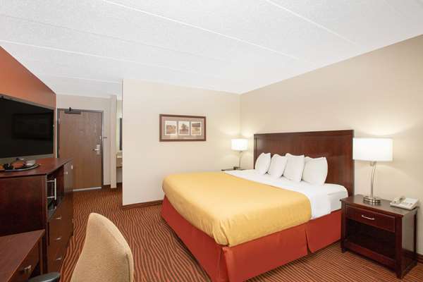 1 King Bed, One-Bedroom, Premier Suite, Non-Smoking